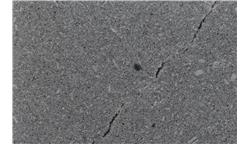 Silver Blue SenSa Granite