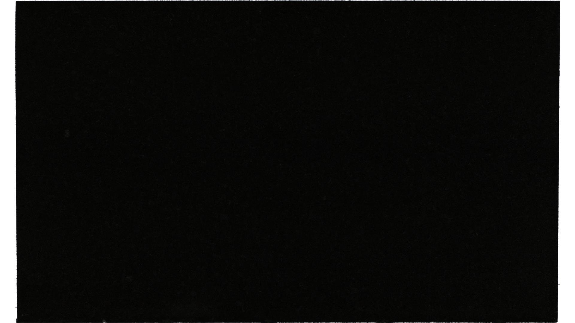 Black Pearl Granite Slabs