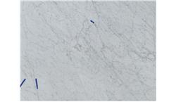 White Carrara C Honed