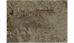 Crescent Veil SenSa Granite