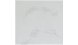 Empira White 5151 Caesarstone