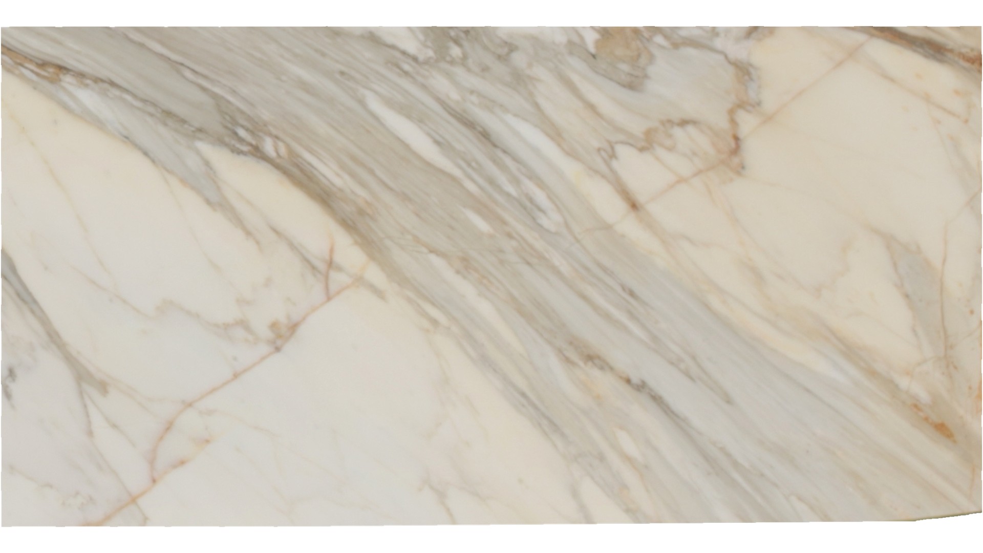 Calacatta Borghini Premium Marble Slabs