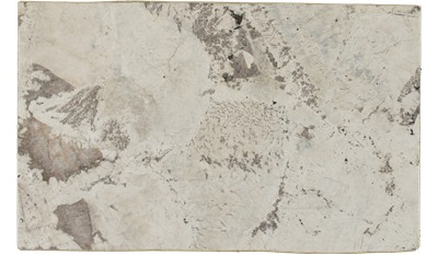 Alpine White Granite