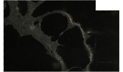 Black Python Granite