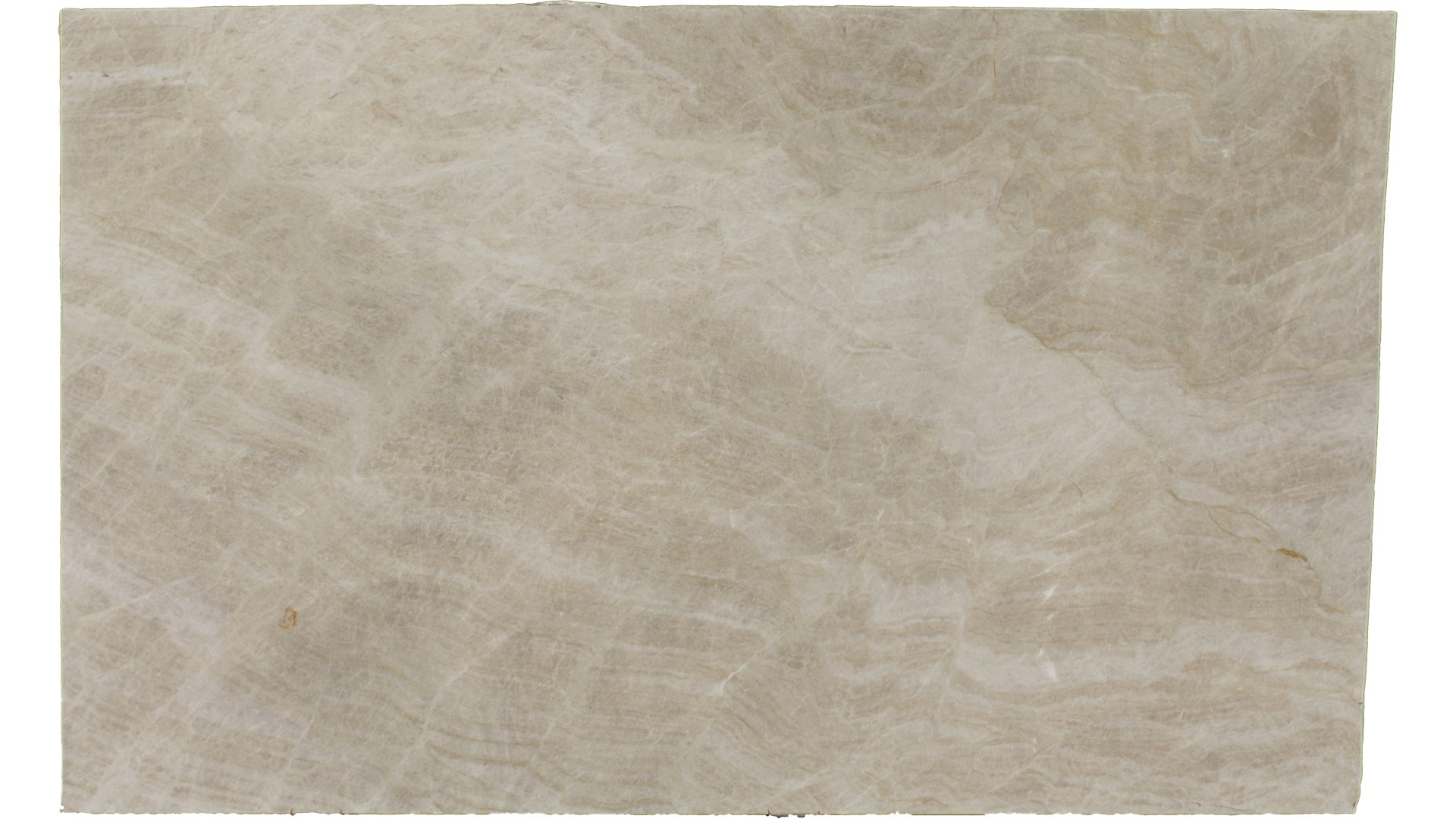 Champange Quartzite Quartzite Slabs