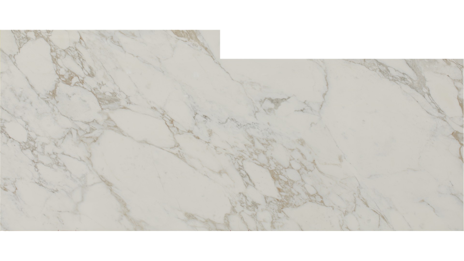 Vagli Gold Porcelain Slabs