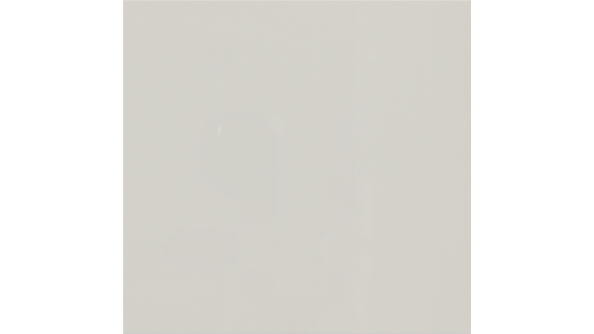 Absolute White  Porcelain Slabs