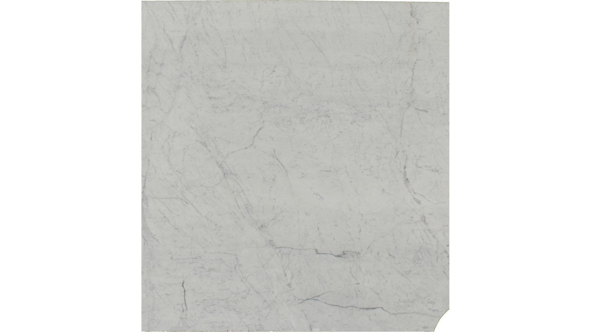 Venatino Statuarietto Marble Slabs