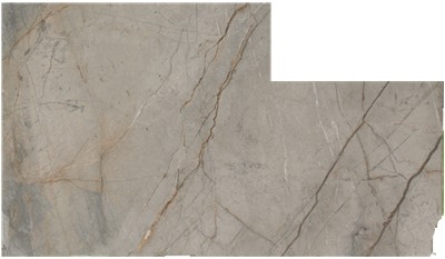 Silver Roots Marble