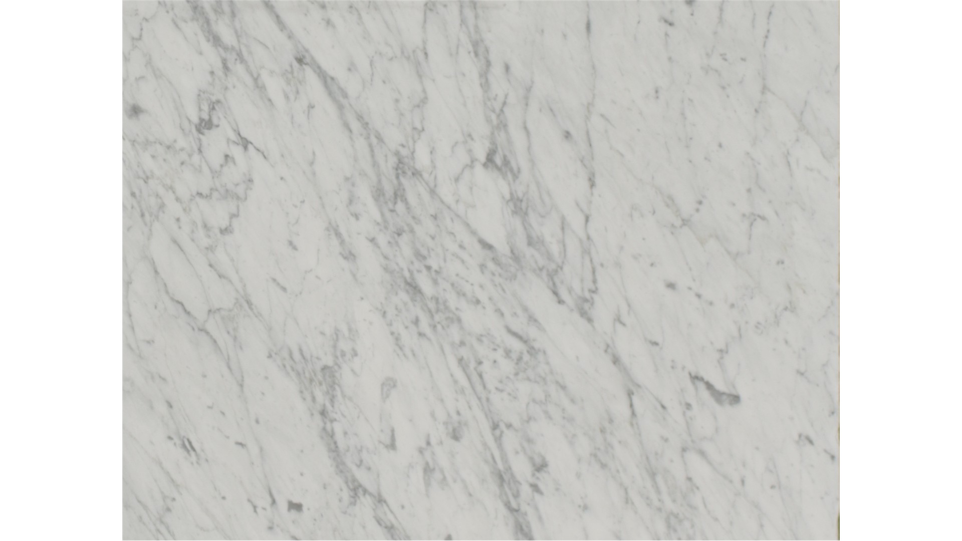 Bianco Gioia Marble Slabs