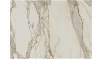 Calacatta Borghini B Porcelain