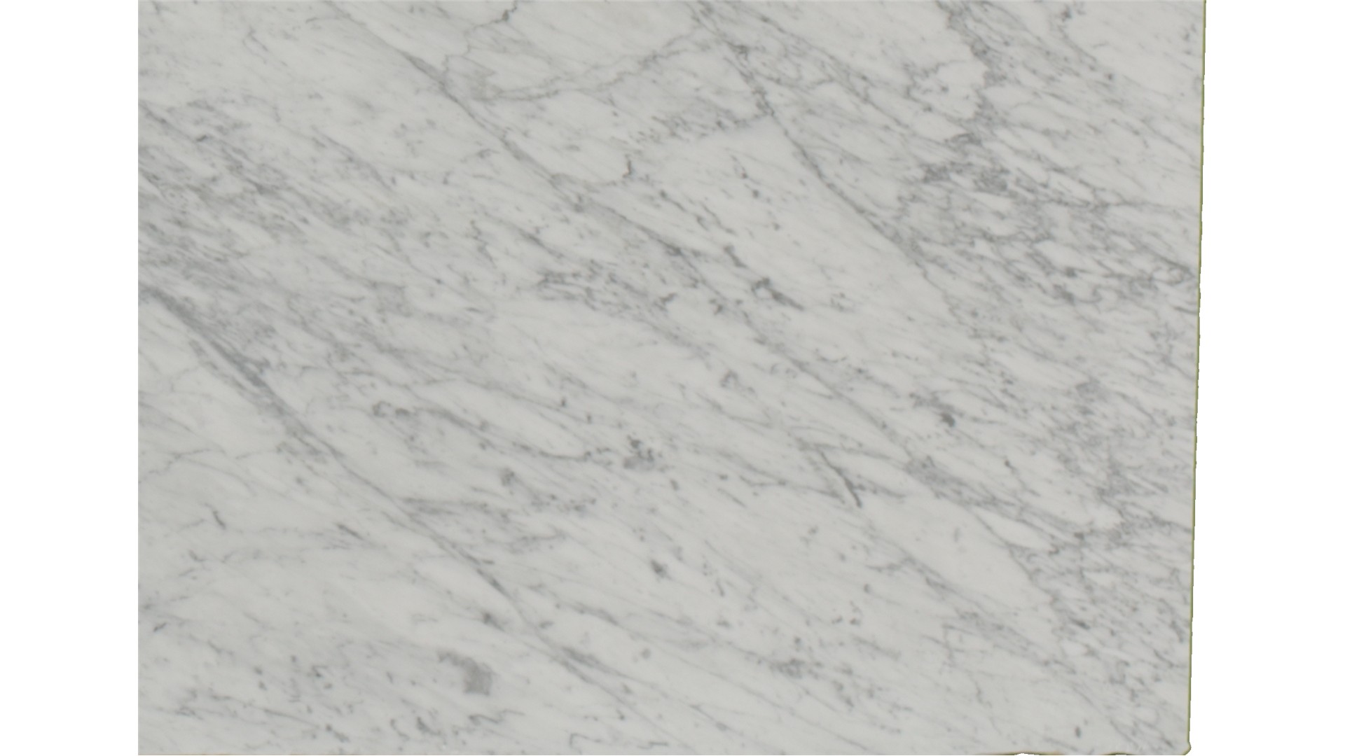 Bianco Gioia Marble Slabs