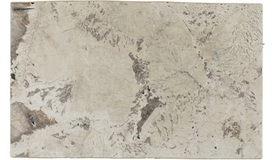 Alpine White Granite
