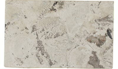 Alpine White Granite