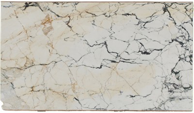Calacatta Paonazzo Marble