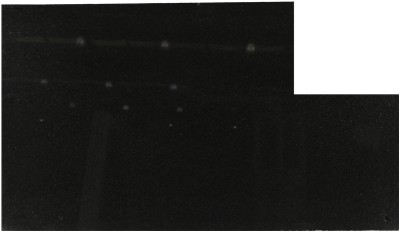 Cambrian Black Granite