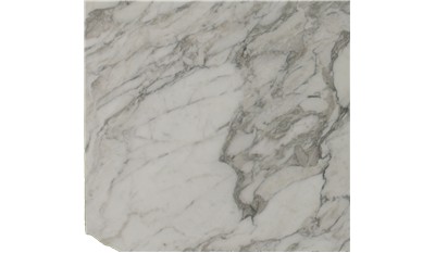 Arabescato Vagli Marble