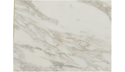 Calacatta Gold Marble