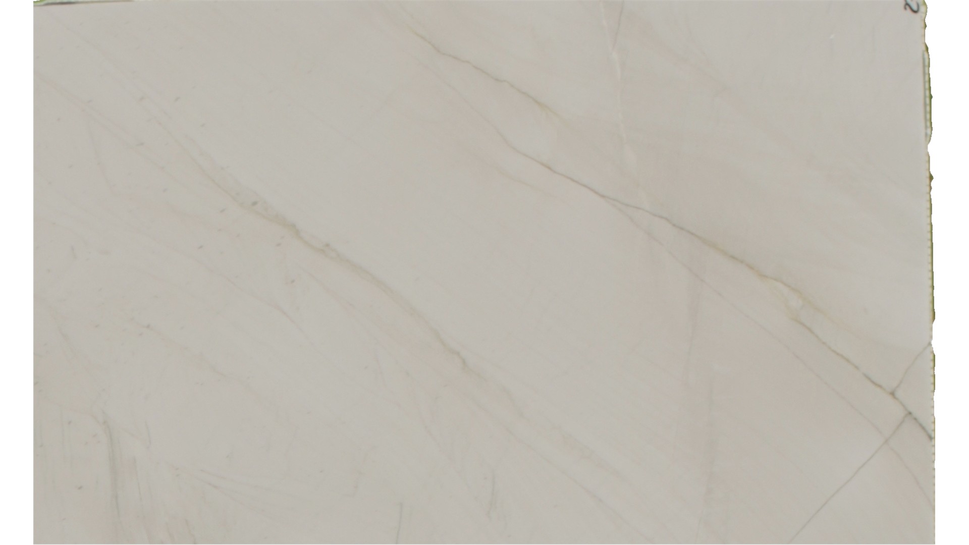 White Pearl Quartzite Slabs
