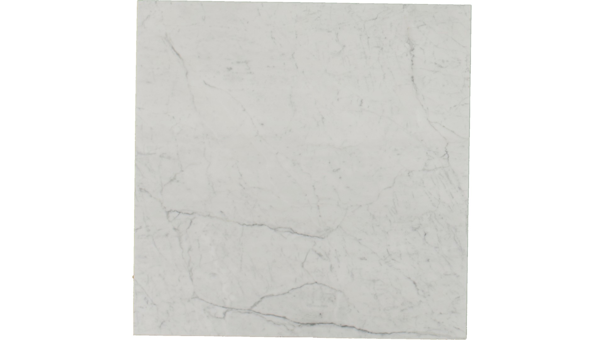 Venatino Statuarietto Marble Slabs