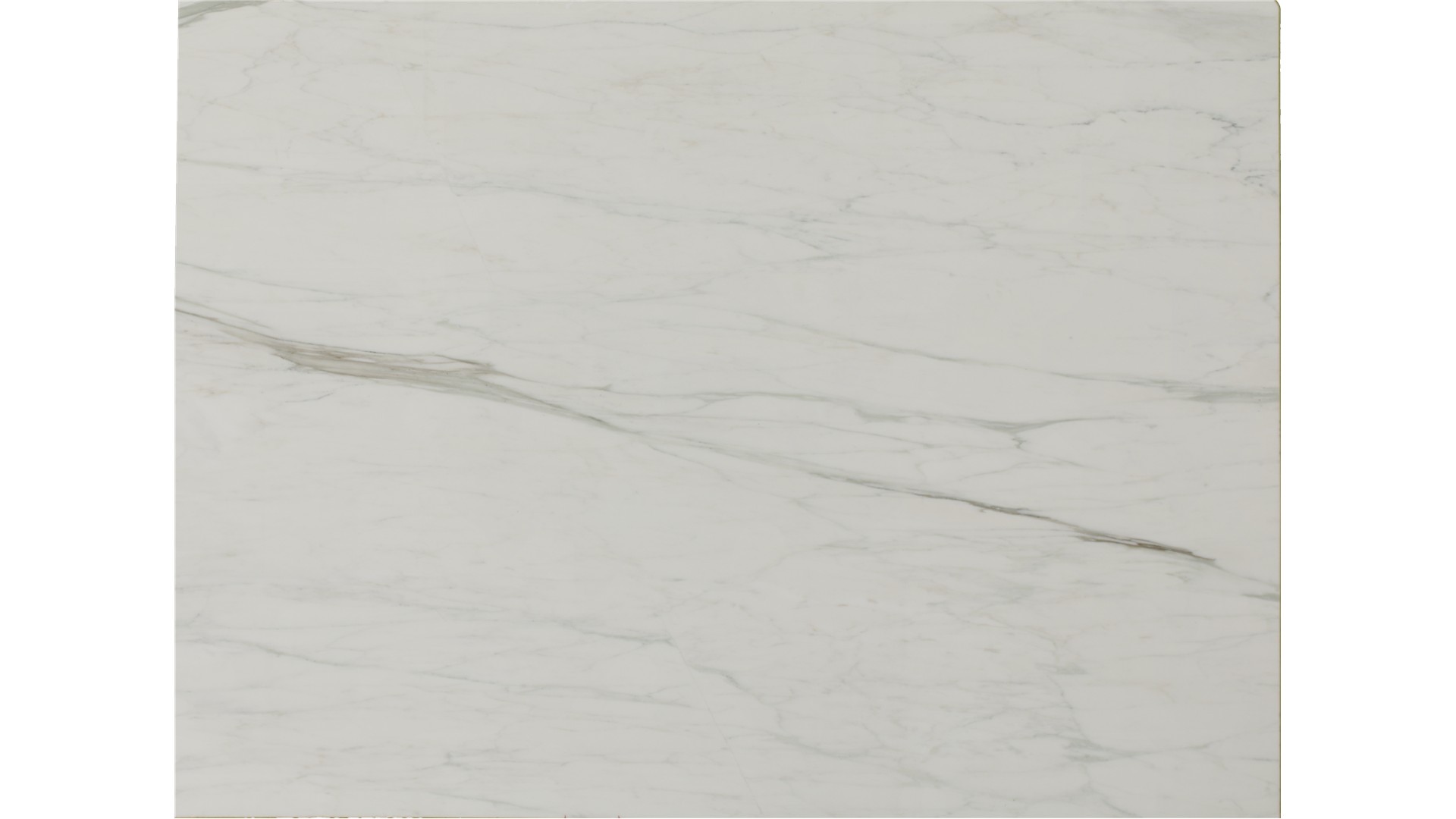 Calacatta Caldia Marble Slabs