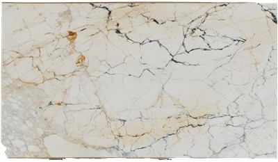 Calacatta Paonazzo Marble