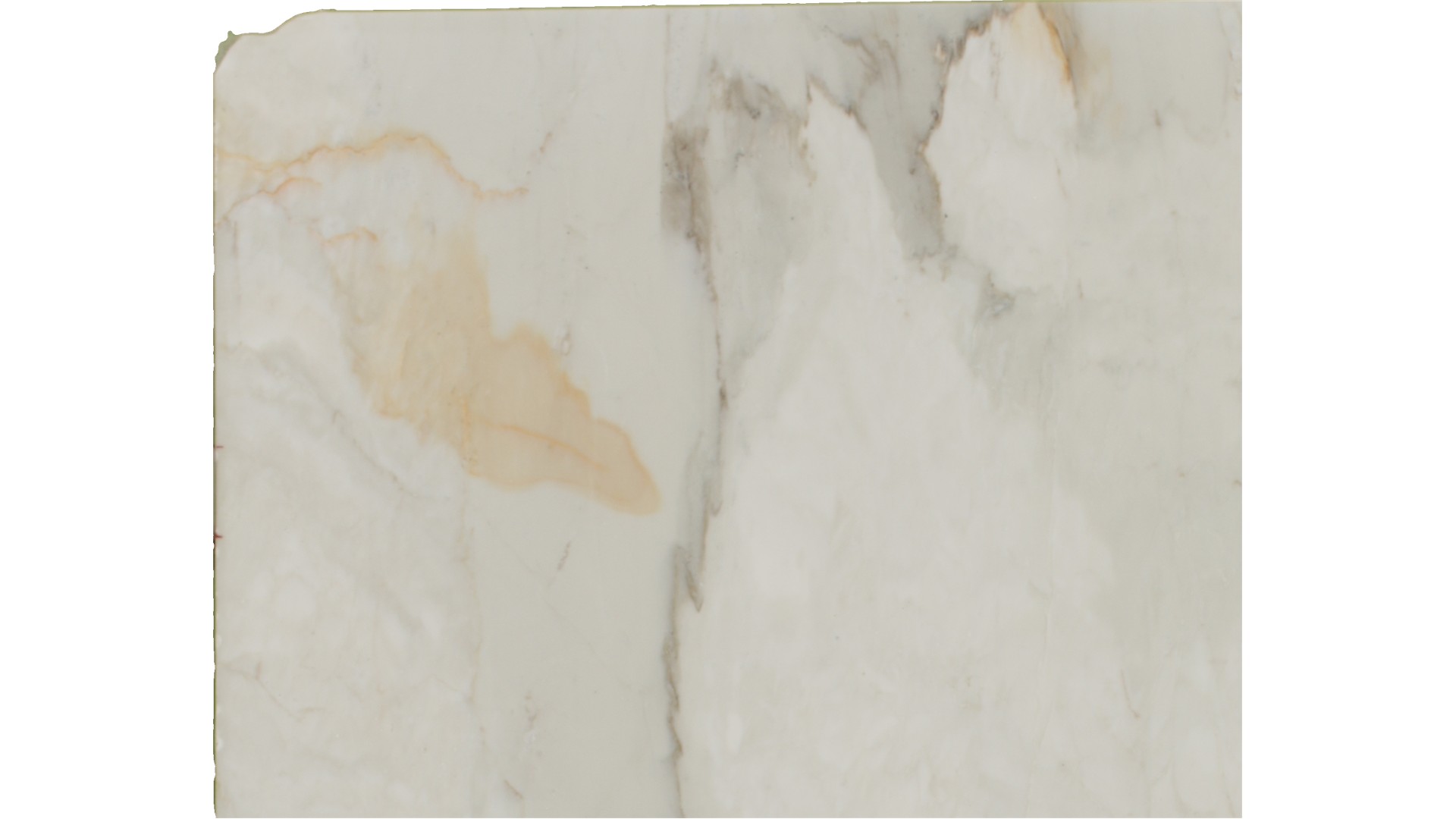 Calacatta Venice Marble Slabs