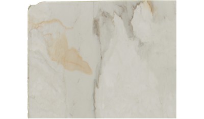 Calacatta Venice Marble