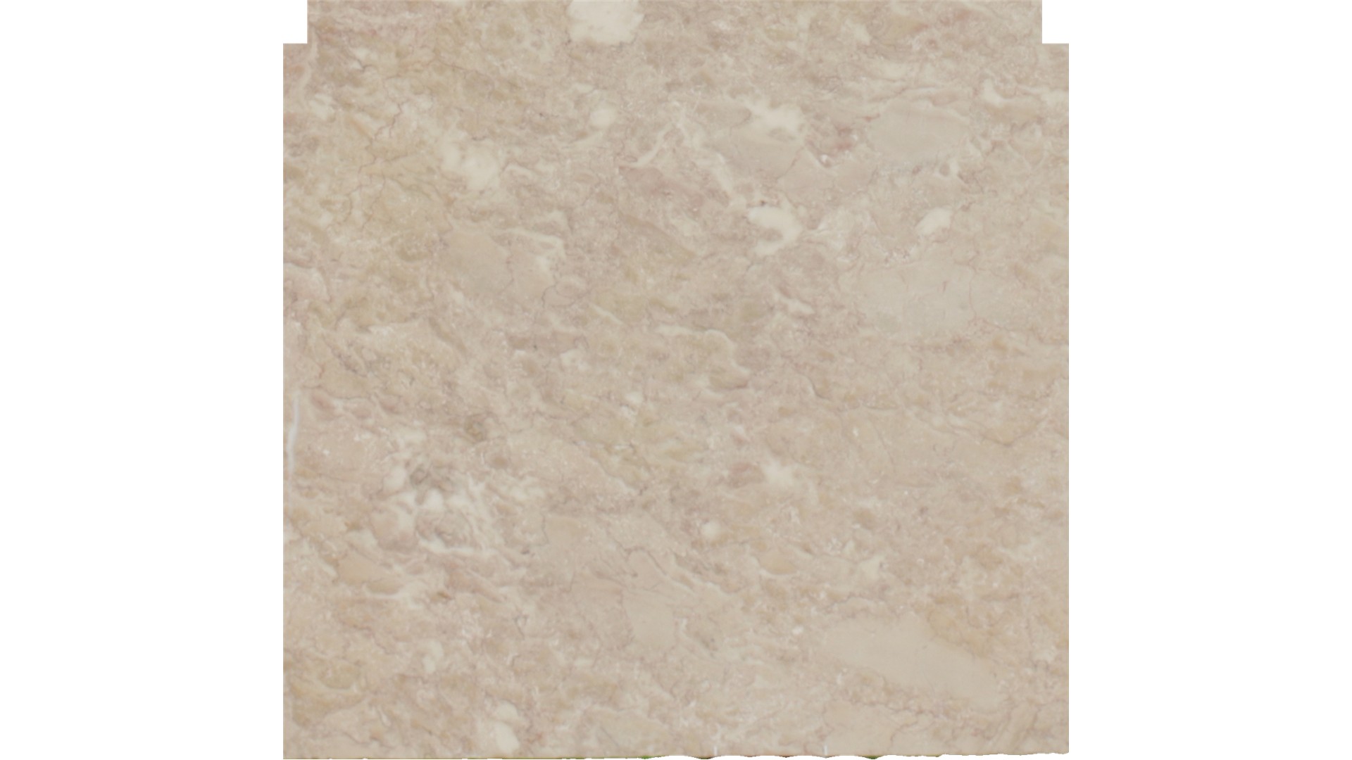 Crema Pelato Marble Slabs
