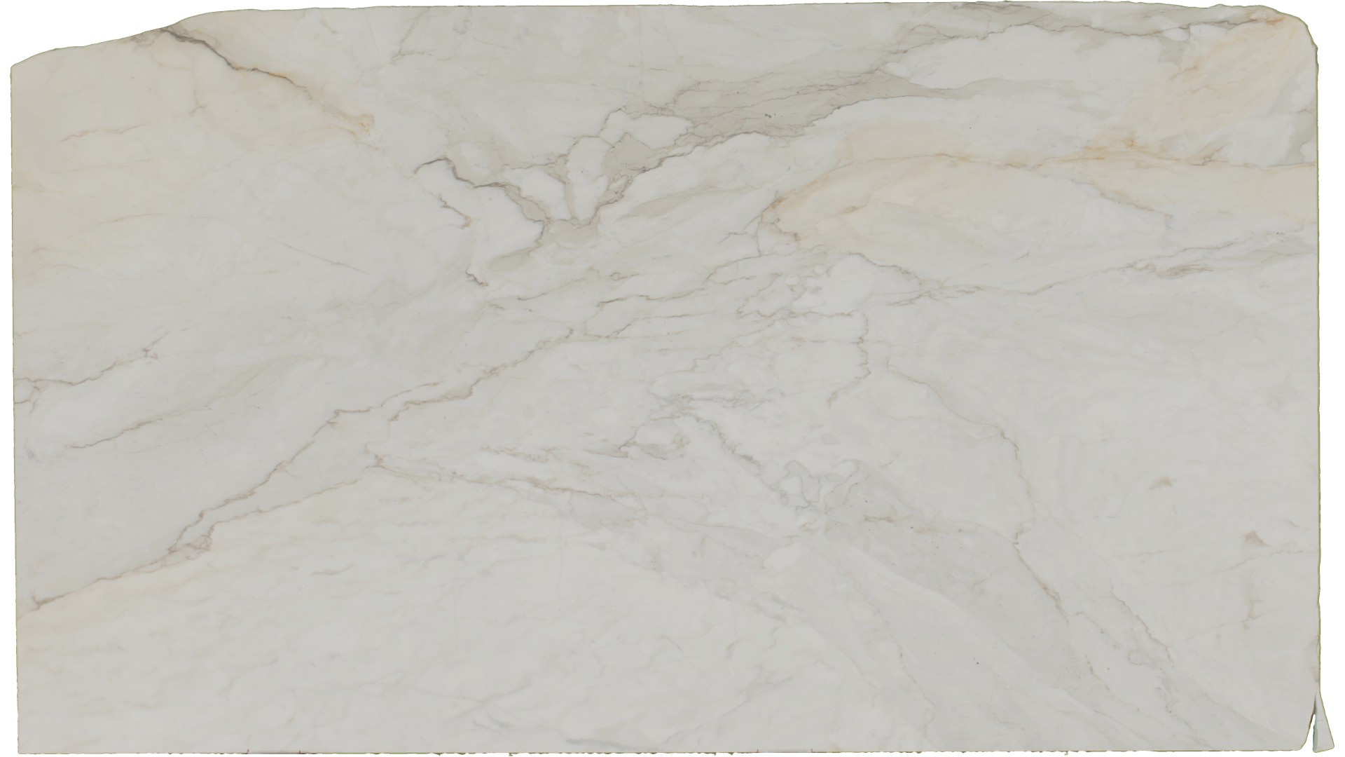 Cremo Delicato Marble Slabs