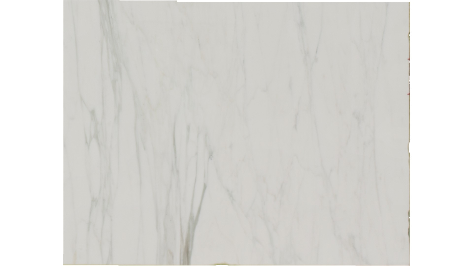 Calacatta Caldia Marble Slabs
