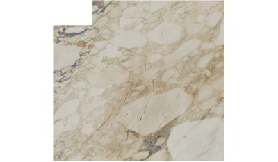 Calacatta Monet Marble