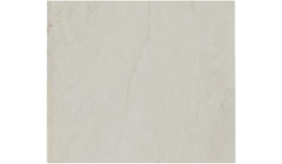 Calacatta Venice Marble