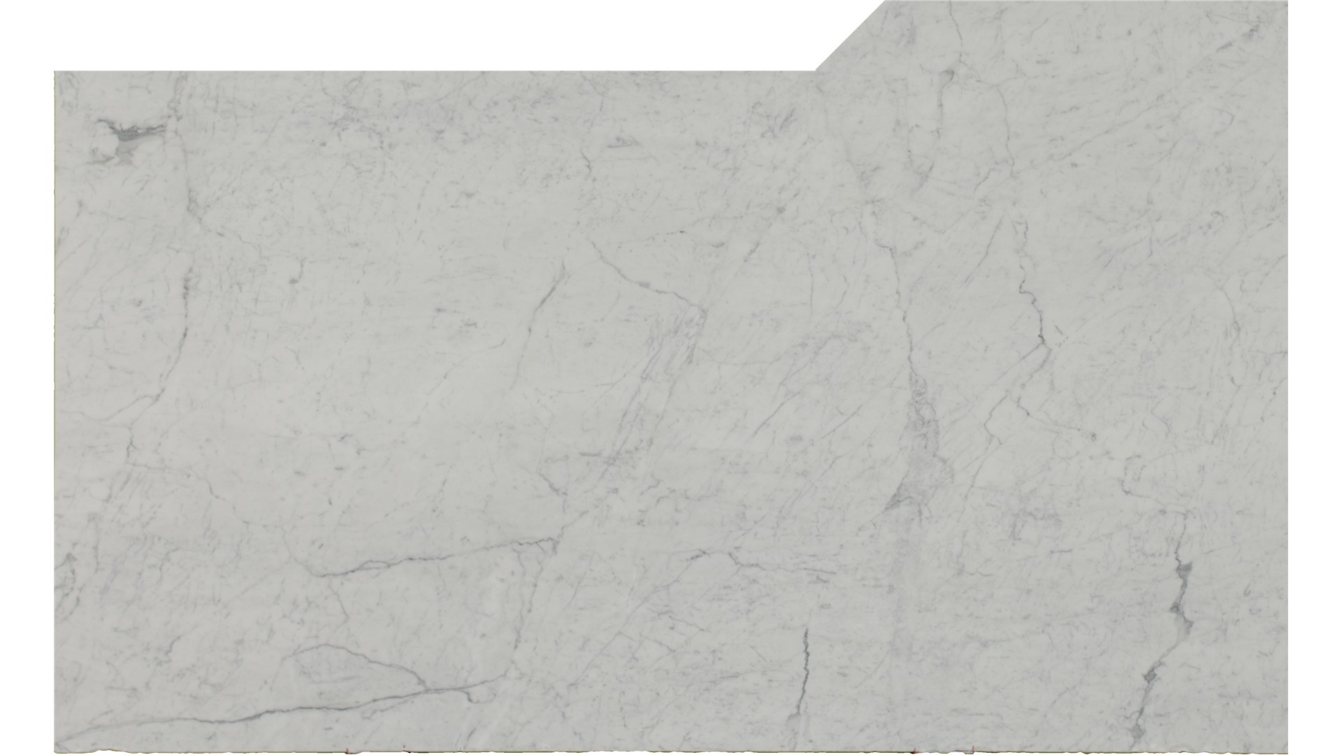 Venatino Statuarietto Marble Slabs