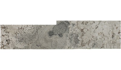 White paradise Granite