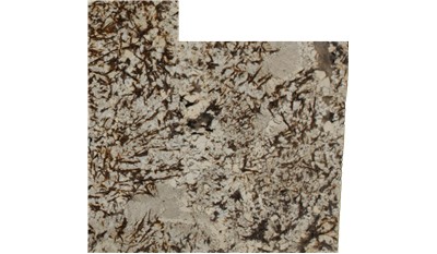 Golden Flower Granite