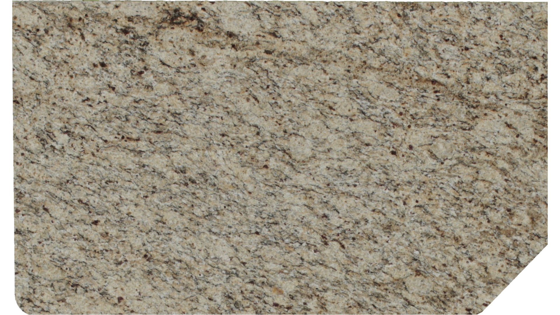 Santa Cecilia Granite Slabs
