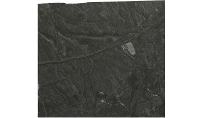 Virginia Mist Granite