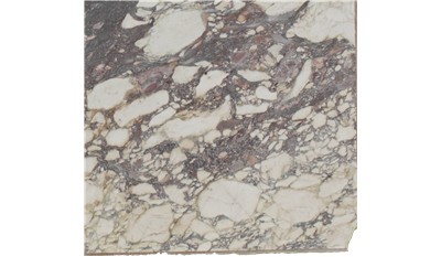 Calacatta Monet Marble
