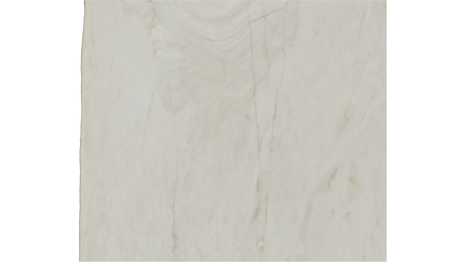 Calacatta Venice Marble Slabs