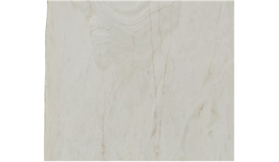 Calacatta Venice Marble