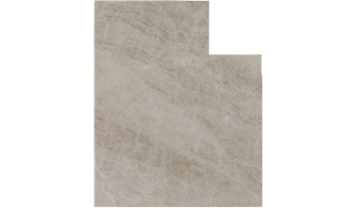 Taj Mahal Premium Quartzite