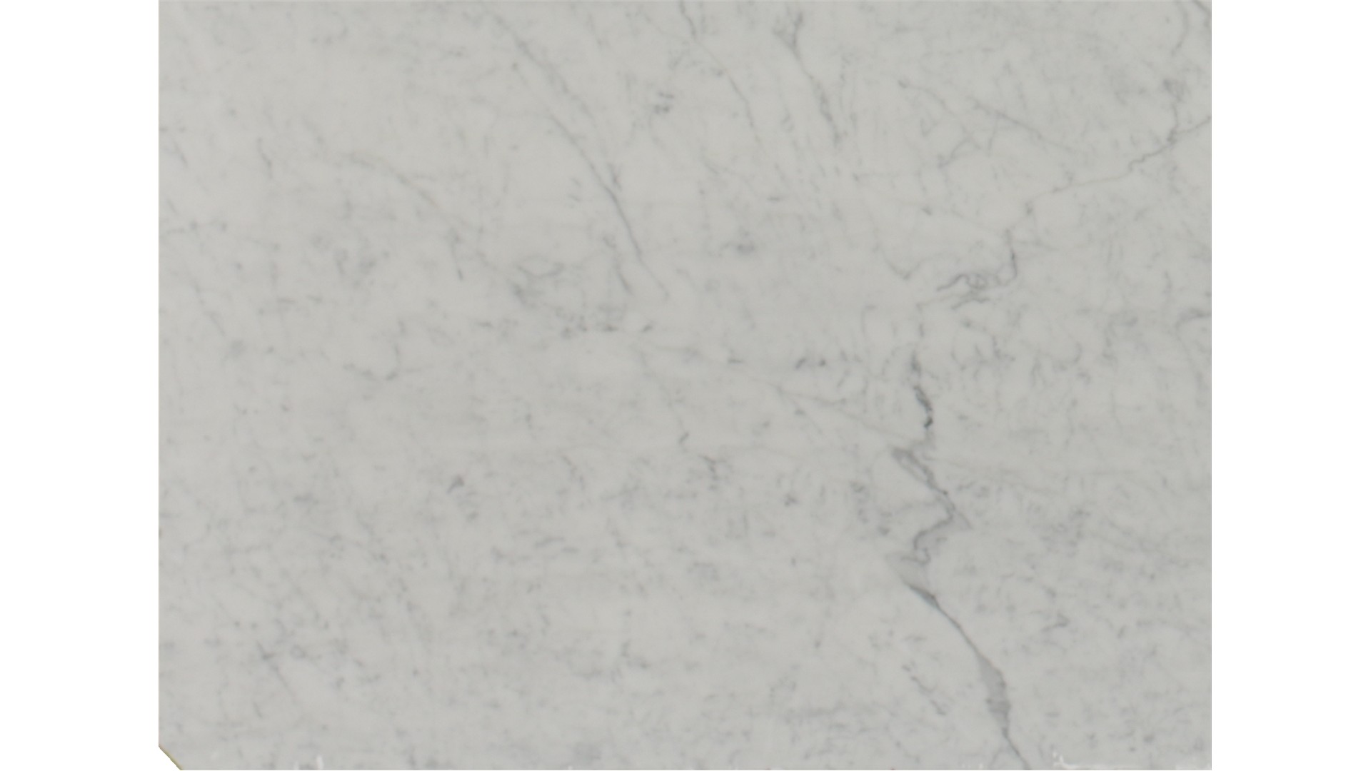Venatino Statuarietto Marble Slabs