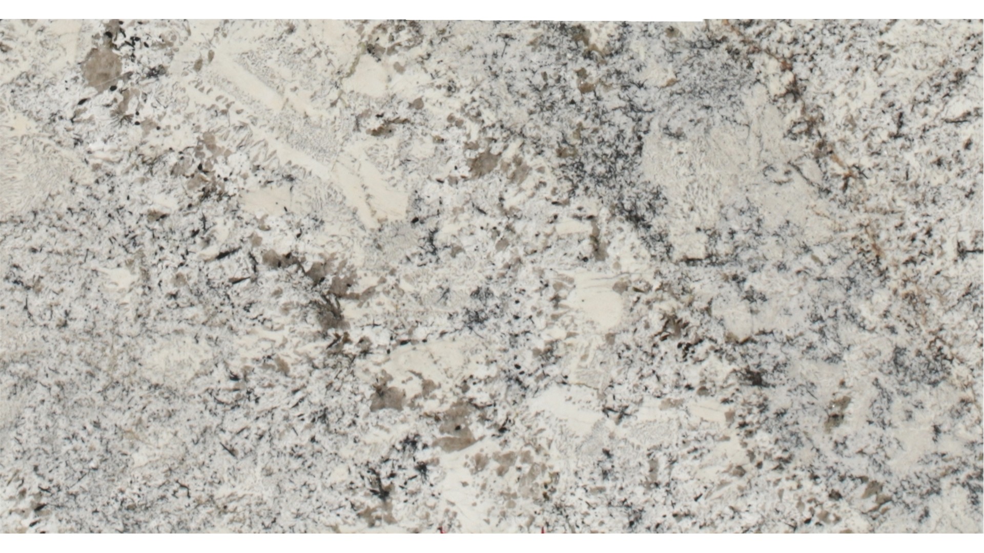 Alaska White Granite Slabs