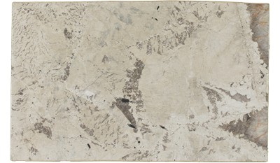 Alpine White Granite