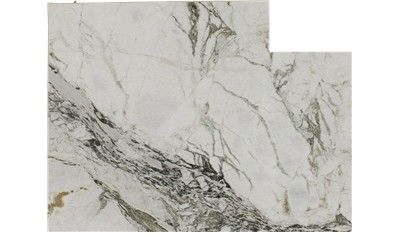 Da Vinci Dolomite Marble