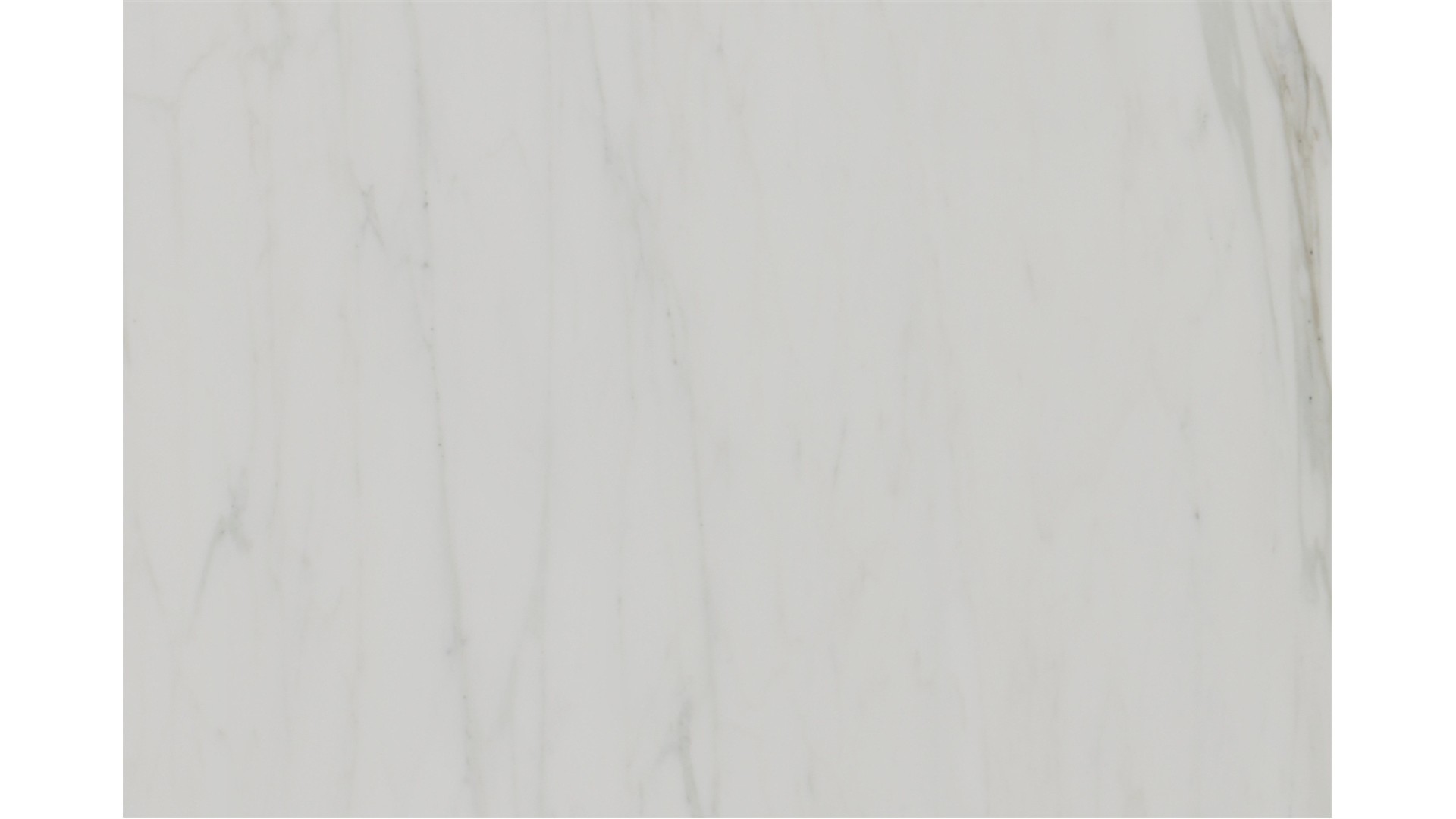 Calacatta Caldia Marble Slabs