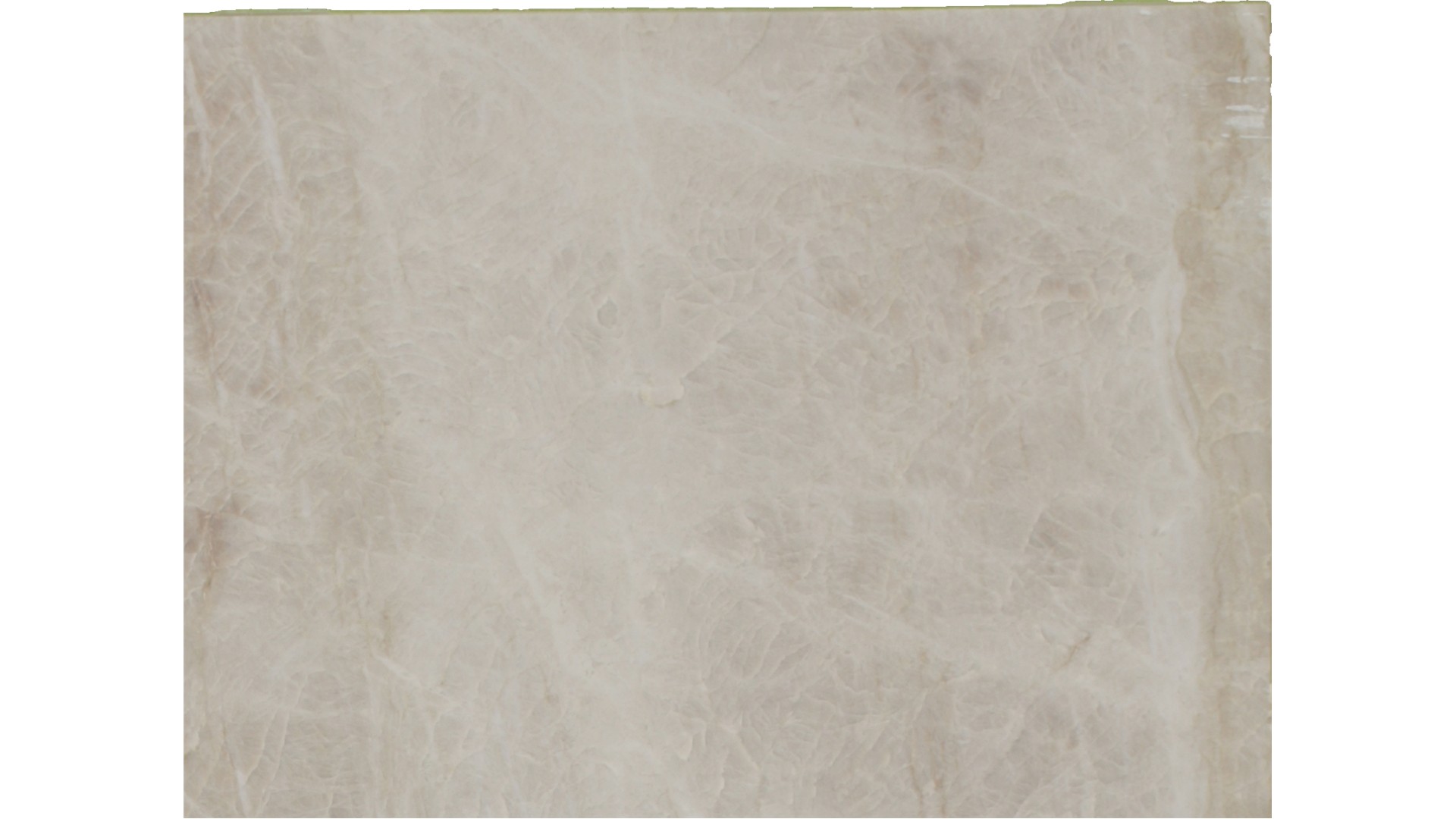 Platinum Quartzite Slabs