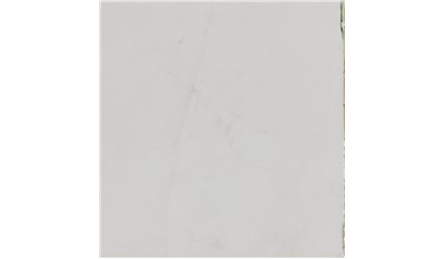 Calacatta Rhino Marble