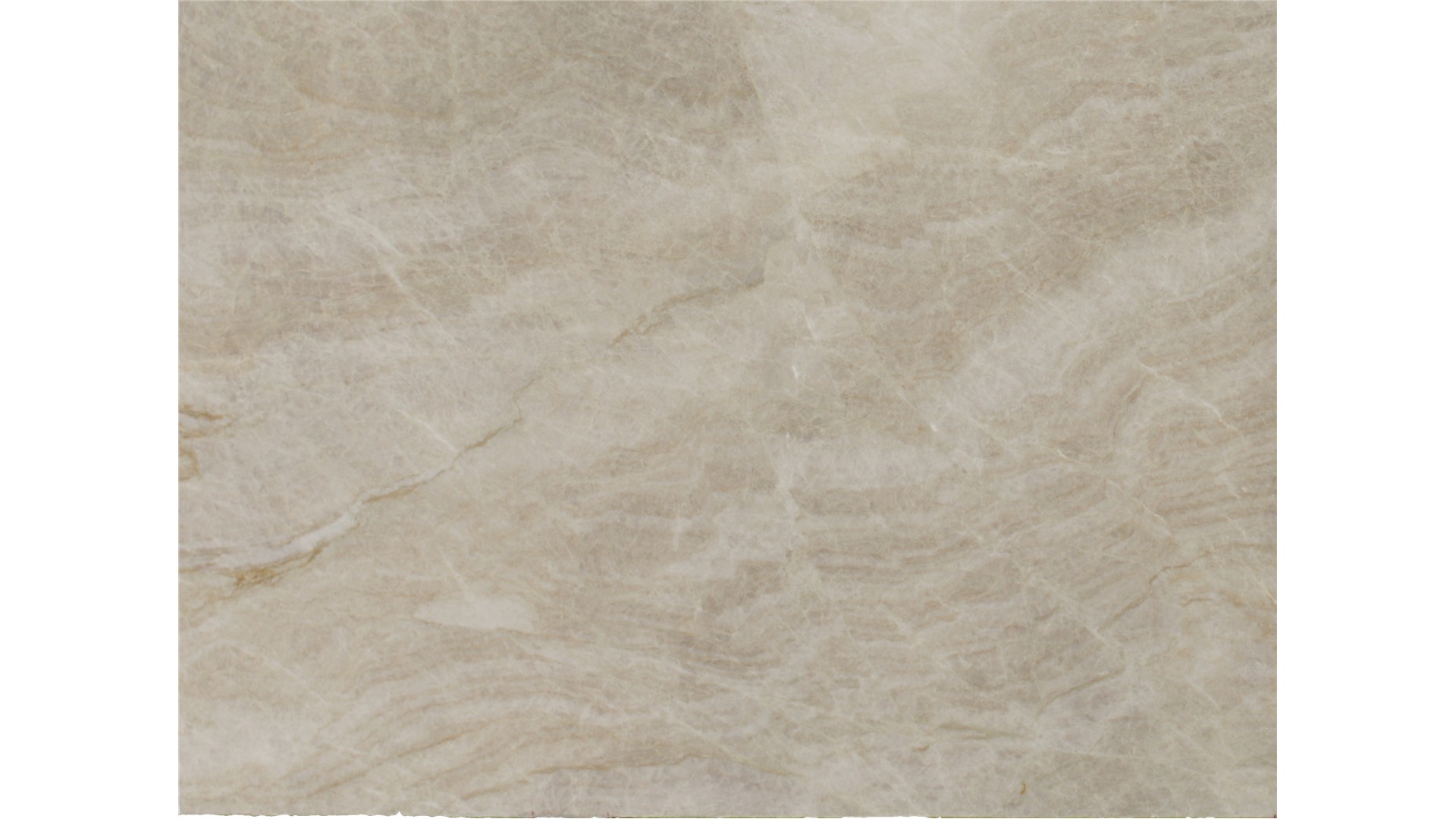 Champange Quartzite Quartzite Slabs